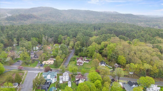 209 Lake Ave, Lake Luzerne, NY 12846 - view of property location featuring a forest, a mountain backdrop, and nearby suburban area