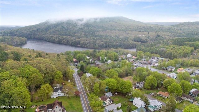 209 Lake Ave, Lake Luzerne, NY 12846 - view of property location with a heavily wooded area and a water and mountain view