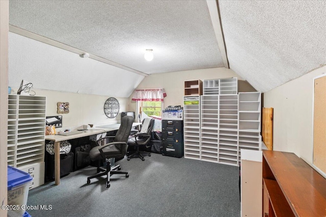 209 Lake Ave, Lake Luzerne, NY 12846 - home office featuring carpet, lofted ceiling, and a textured ceiling