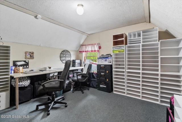 209 Lake Ave, Lake Luzerne, NY 12846 - carpeted home office featuring vaulted ceiling and a textured ceiling