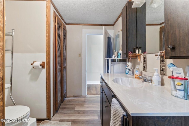 209 Lake Ave, Lake Luzerne, NY 12846 - bathroom with toilet, wood finished floors, vanity, and a textured ceiling