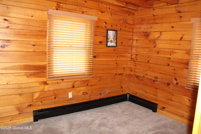 127 Fording Rd, Esperance, NY 12066 - unfurnished room with wood walls