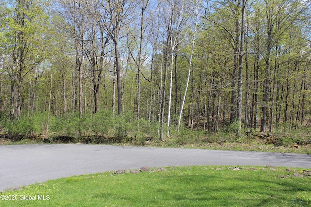 127 Fording Rd, Esperance, NY 12066 - view of street with a wooded view