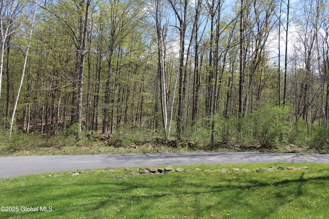 127 Fording Rd, Esperance, NY 12066 - view of road