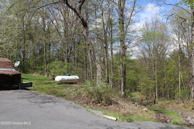 127 Fording Rd, Esperance, NY 12066 - view of street featuring a forest view