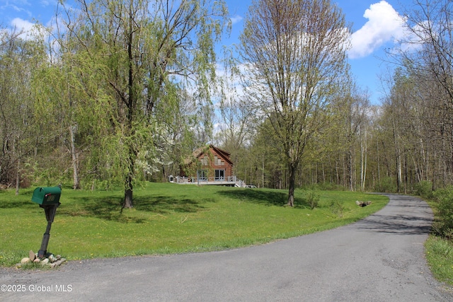 127 Fording Rd, Esperance, NY 12066 - view of road featuring a forest view
