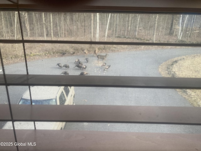 127 Fording Rd, Esperance, NY 12066 - view of room details