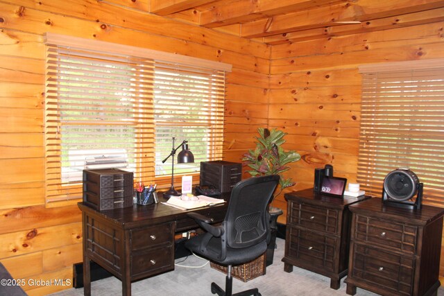 127 Fording Rd, Esperance, NY 12066 - office area with plenty of natural light, carpet flooring, and wood walls