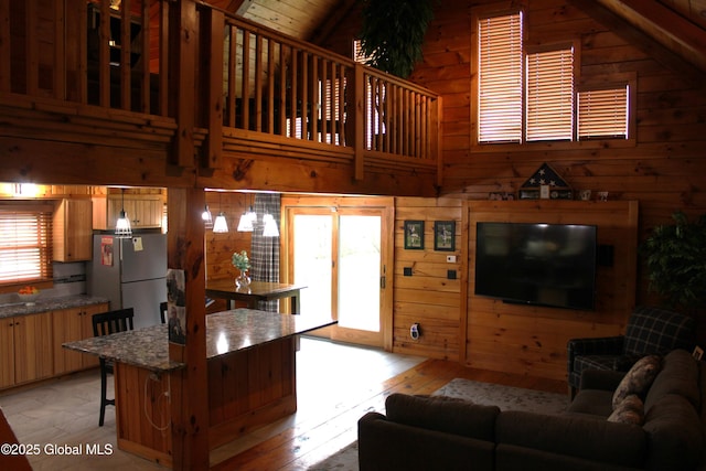 127 Fording Rd, Esperance, NY 12066 - living area featuring light wood finished floors, wooden walls, and high vaulted ceiling