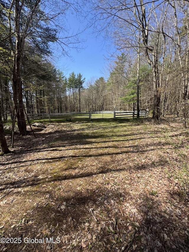 view of yard with a wooded view