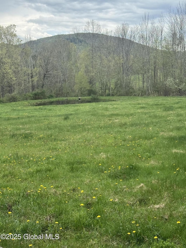 property view of mountains with a wooded view and a rural view