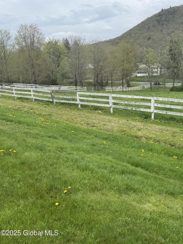 view of yard with a rural view, fence, and a mountain view
