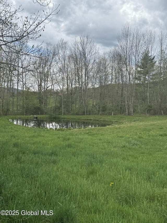 view of yard with a water view