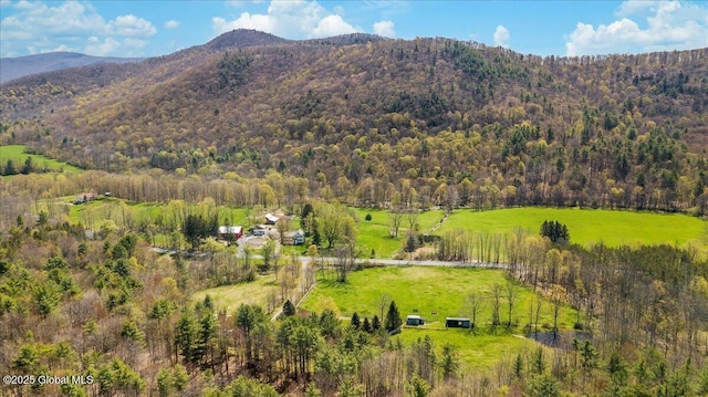 property view of mountains featuring a forest view