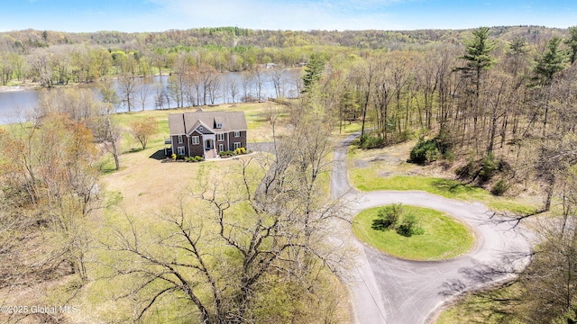 3 Riverside Ct, Stillwater, NY 12170 - drone / aerial view with a forest view and a water view