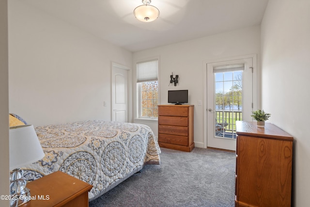 3 Riverside Ct, Stillwater, NY 12170 - carpeted bedroom with baseboards and access to exterior