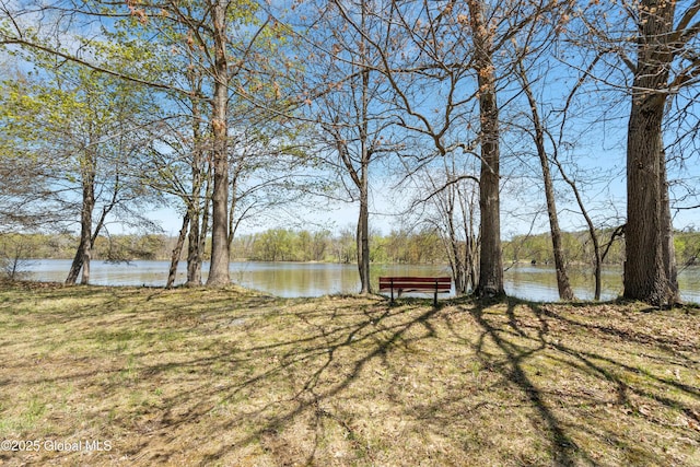 3 Riverside Ct, Stillwater, NY 12170 - view of yard with a water view