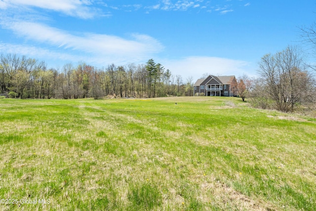 3 Riverside Ct, Stillwater, NY 12170 - view of yard