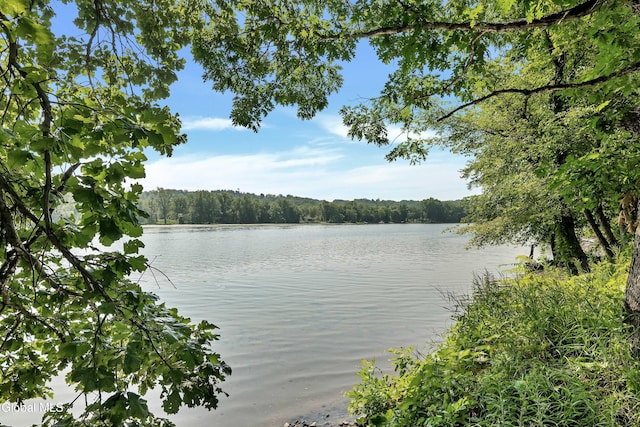 3 Riverside Ct, Stillwater, NY 12170 - photo 56