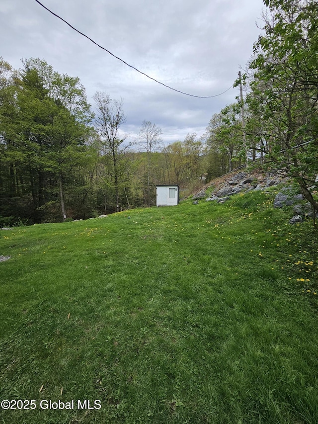 view of yard featuring an outdoor structure and a storage unit