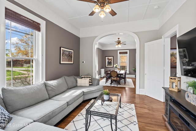 living room featuring ceiling fan, ornamental molding, dark wood-style flooring, and arched walkways