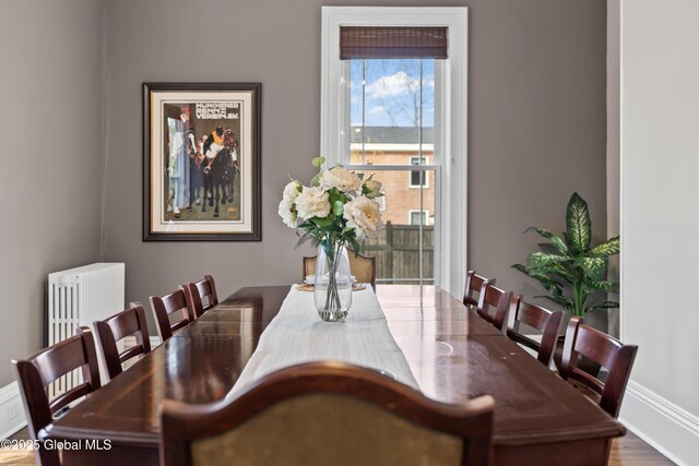 dining room featuring wood finished floors and radiator heating unit