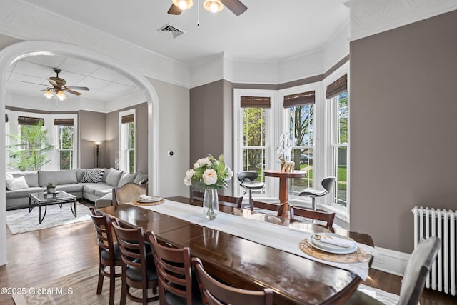 dining area with radiator heating unit, ceiling fan, plenty of natural light, and visible vents
