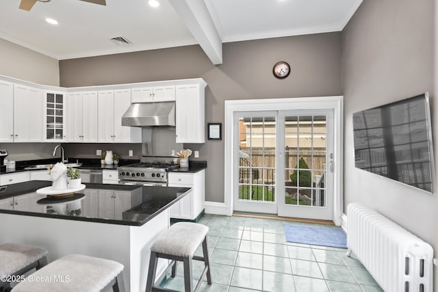 kitchen featuring a sink, visible vents, under cabinet range hood, appliances with stainless steel finishes, and radiator heating unit