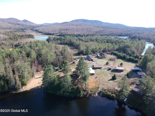 birds eye view of property with a wooded view and a water and mountain view