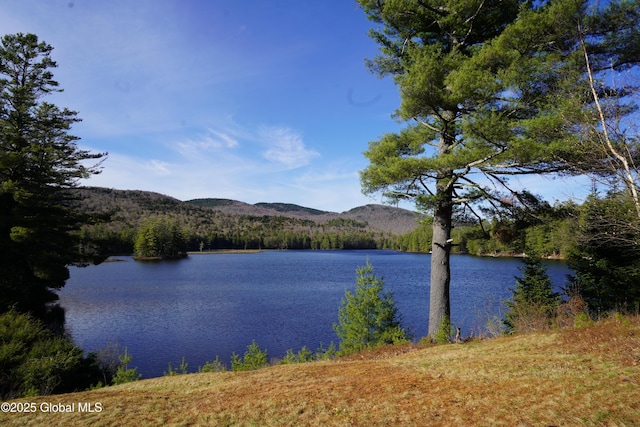 view of water feature with a mountain view and a forest view