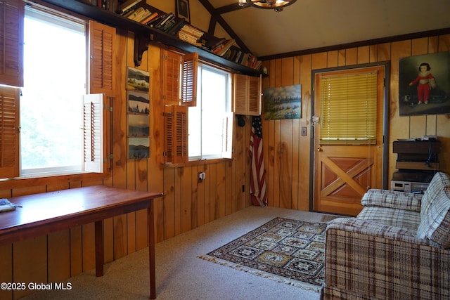 interior space with wooden walls, vaulted ceiling, and plenty of natural light