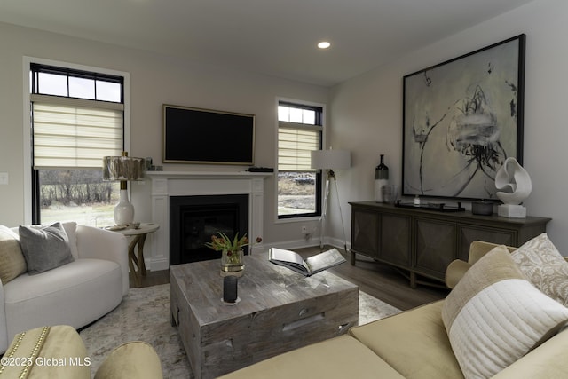 7 Magnolia Dr, Halfmoon, NY 12065 - living area featuring wood finished floors, baseboards, a glass covered fireplace, and recessed lighting