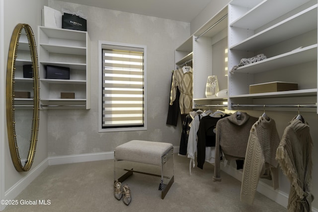 7 Magnolia Dr, Halfmoon, NY 12065 - spacious closet with carpet flooring