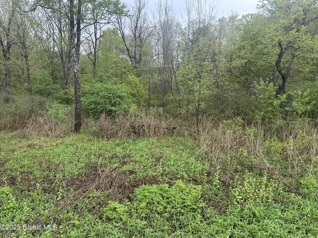 144 Factory Hollow Rd, Pittstown, NY 12185 - photo 1