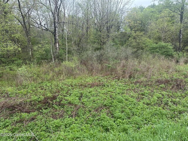 144 Factory Hollow Rd, Pittstown, NY 12185 - photo 2