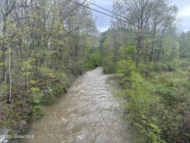144 Factory Hollow Rd, Pittstown, NY 12185 - photo 4