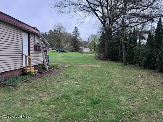 view of yard featuring entry steps
