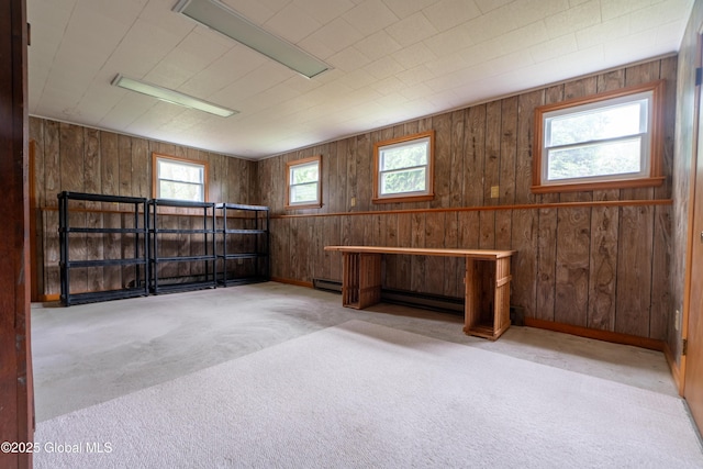 27 Patricia Ln, Saratoga Springs, Inside, NY 12866 - below grade area featuring carpet, wood walls, a baseboard heating unit, and baseboards