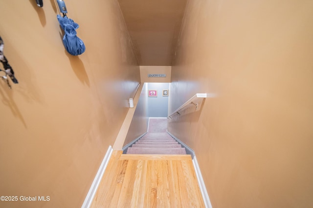 5 Bryn Mawr Ct, Albany, NY 12211 - photo 18
