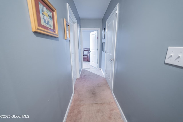 5 Bryn Mawr Ct, Albany, NY 12211 - photo 19