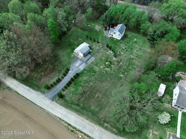 bird's eye view