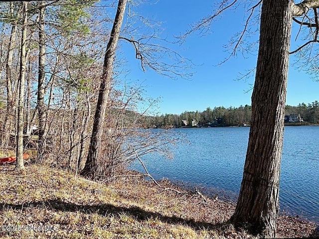 water view featuring a forest