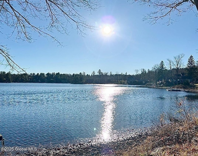 water view featuring a heavily wooded area