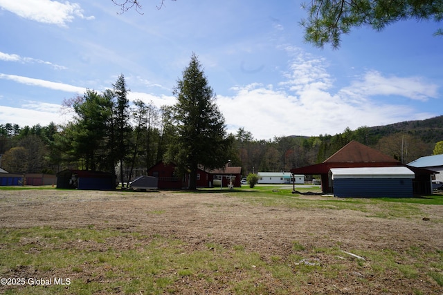 6222 Rte 9n, Hadley, NY 12835 - view of yard