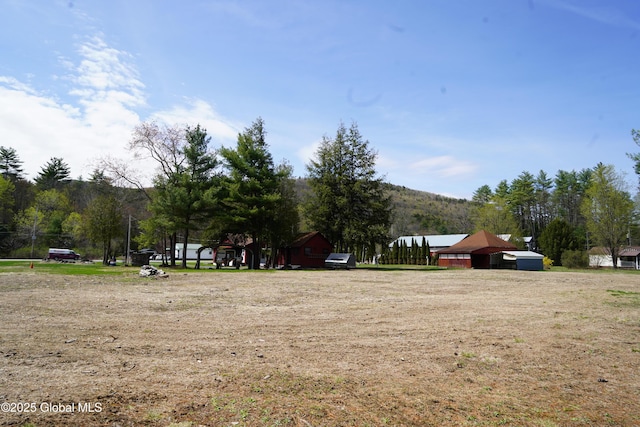 6222 Rte 9n, Hadley, NY 12835 - view of yard