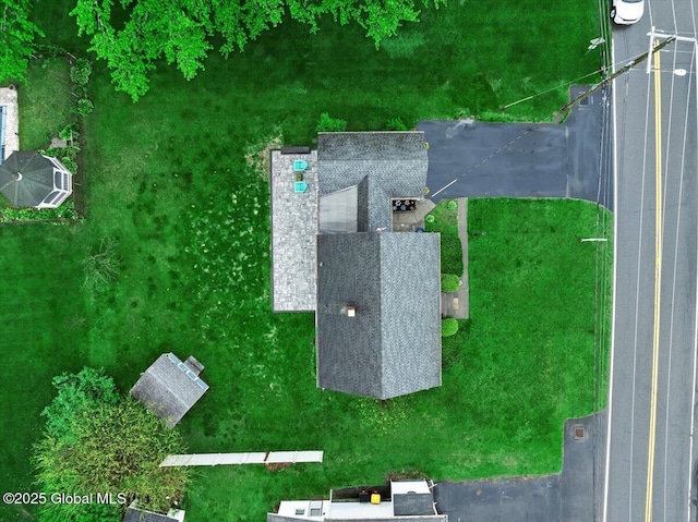bird's eye view