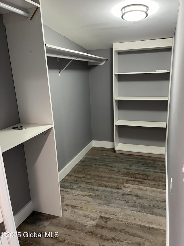 spacious closet featuring dark wood finished floors