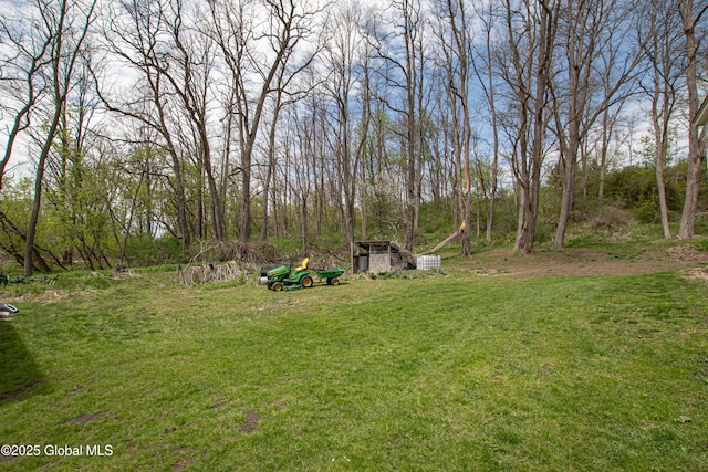 view of yard featuring an outbuilding and a shed