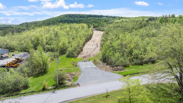 L37.12 Street Rd, Altamont, NY 12009