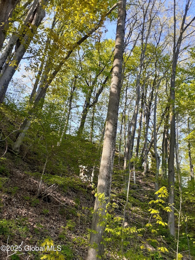 L30.2 State Route 168, Stark, NY 13339